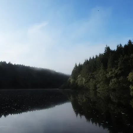 Mulvarra House 3* Graiguenamanagh