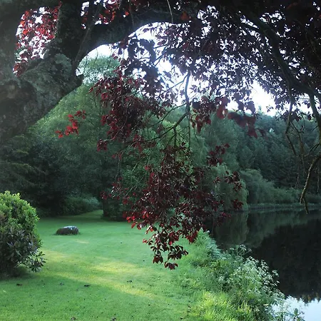 Mulvarra House B&B Graiguenamanagh