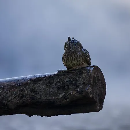 Mulvarra House Frühstückspension 3*