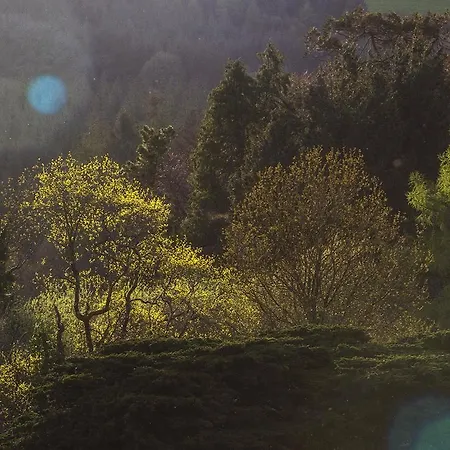 Mulvarra House 3* Graiguenamanagh