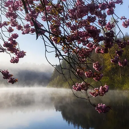 Mulvarra House Frühstückspension 3*