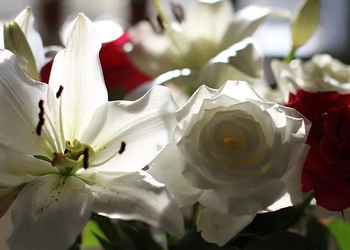 Bed & Breakfast Mulvarra House 3*