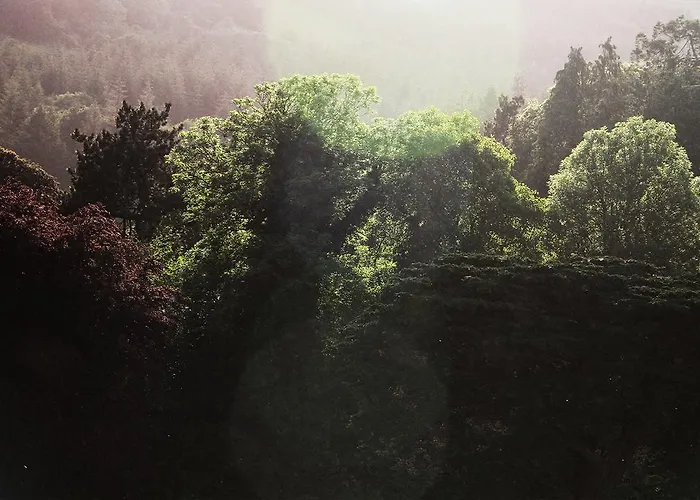 Mulvarra House Bed & Breakfast