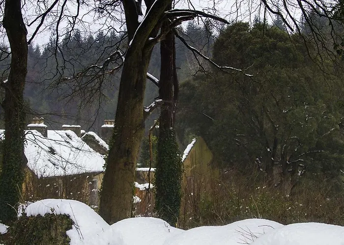 Mulvarra House 3* Graiguenamanagh