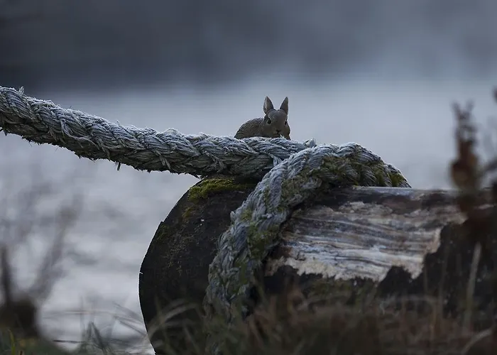 Mulvarra House Bed & Breakfast Graiguenamanagh