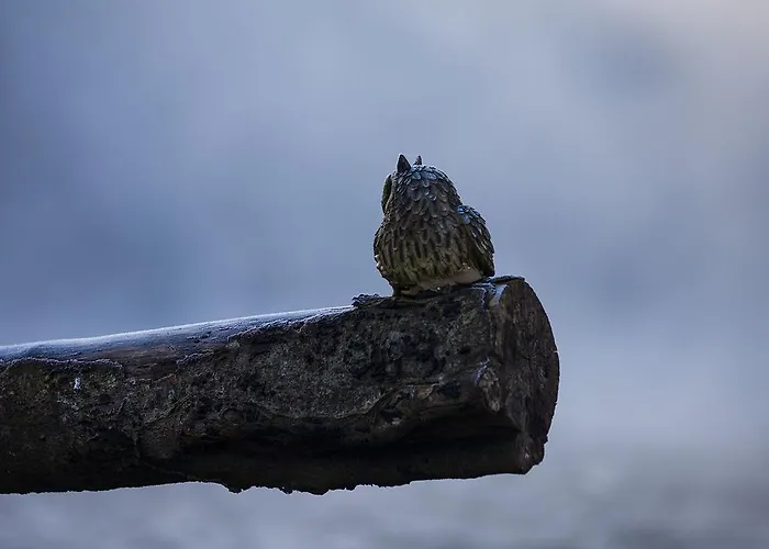 Mulvarra House Отель типа 