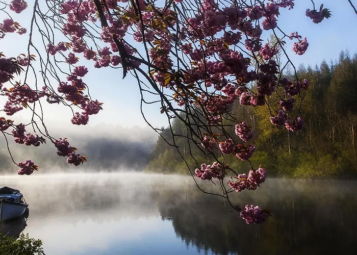 Mulvarra House Bed & Breakfast 3*